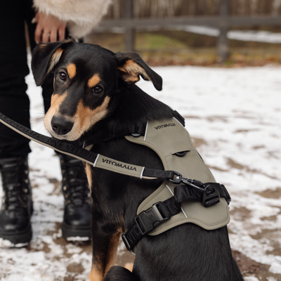 Reflective three-way adjustable Dog Leash Khaki - 2.2 m