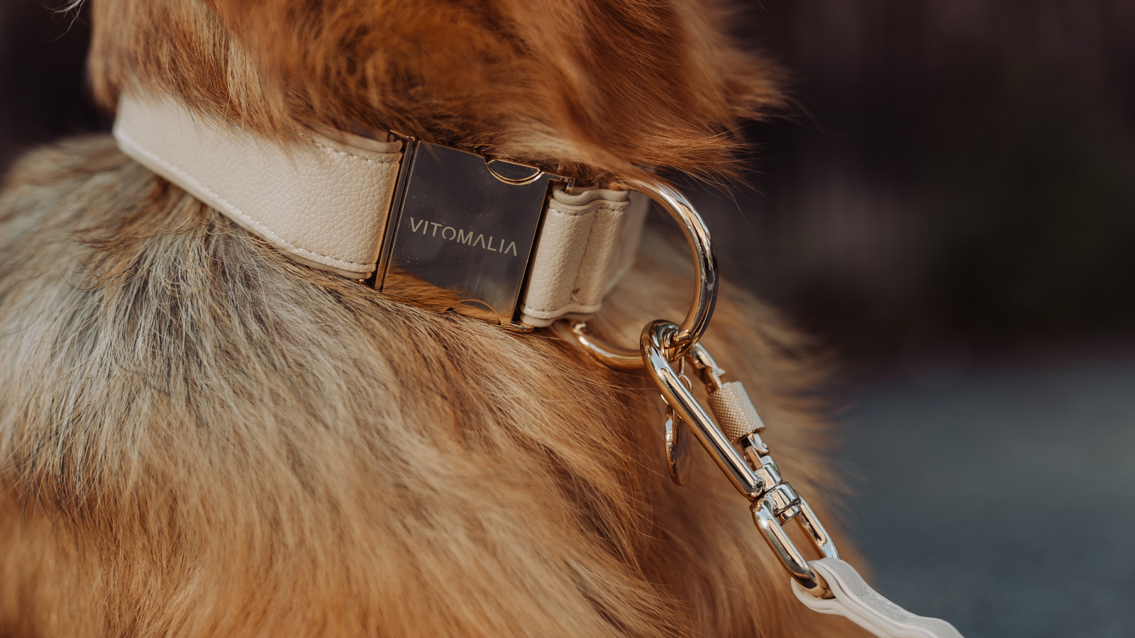 Piñatex Luxus-Hundehalsband - Nachhaltiges Ananas-Leder in Beige – Vitomalia