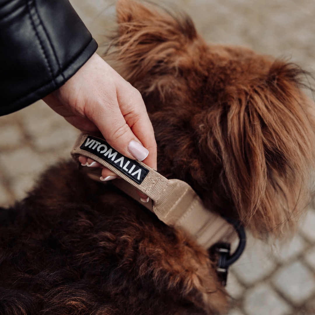 Tactical Dog Collar with load-bearing buckle & magnetic handle - beige