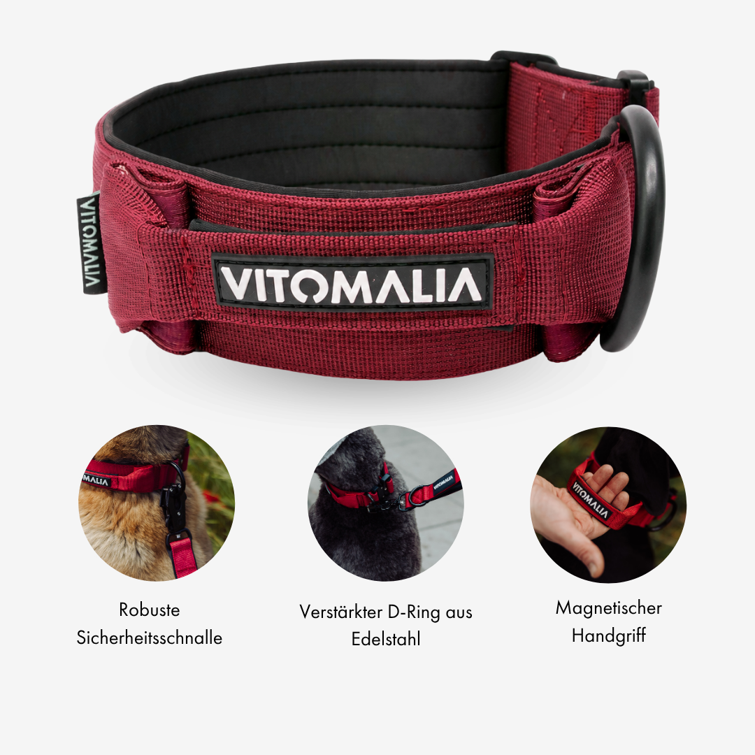 Robustes Hundehalsband mit Sicherheitsverschluss & Magnet-Handgriff – Bordeaux
