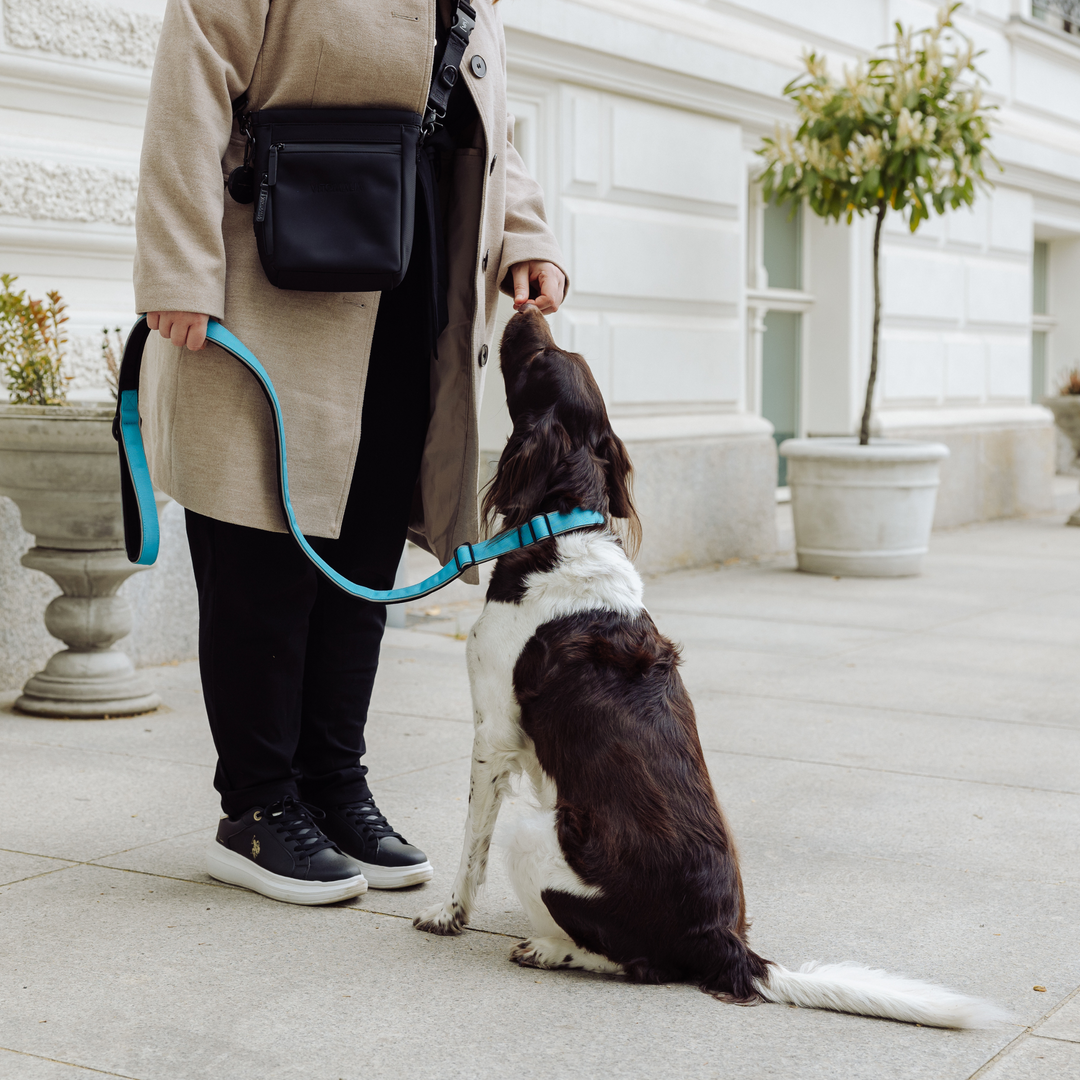 Wide Moxon retriever leash with reflective stripes and padded inner lining - turquoise