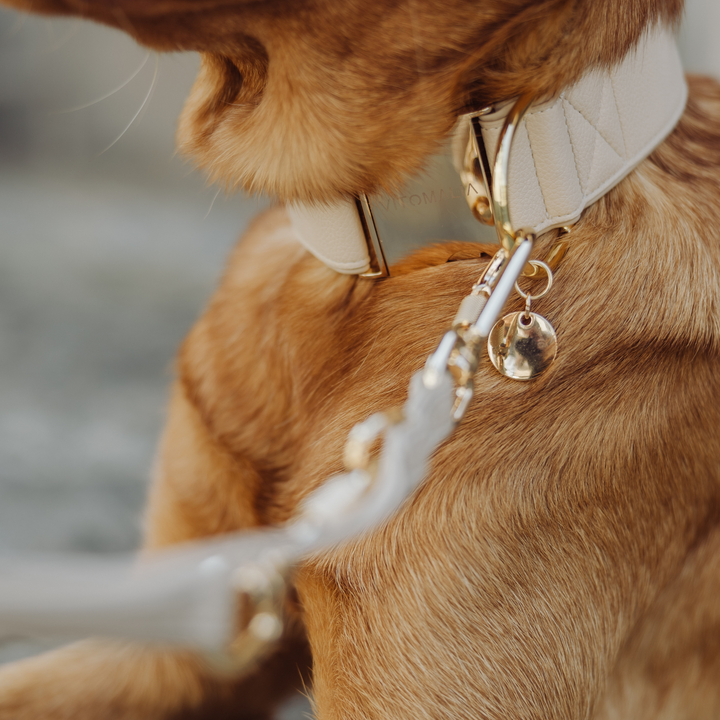 Piñatex Luxus-Hundehalsband - Nachhaltiges Ananas-Leder in Beige - Vitomalia - Hundehalsband