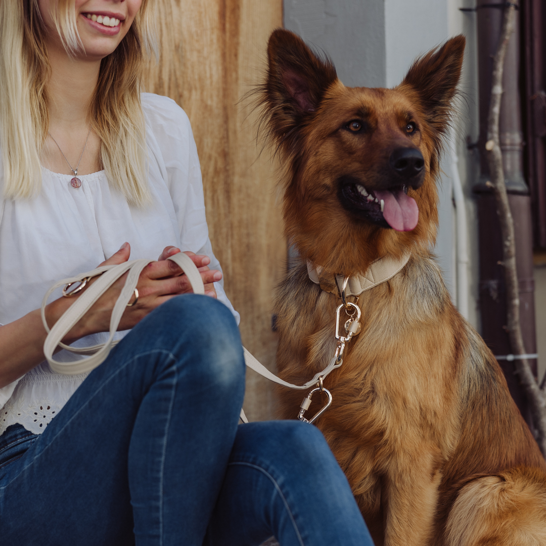 Piñatex Luxus-Hundehalsband - Nachhaltiges Ananas-Leder in Beige - Vitomalia - Hundehalsband