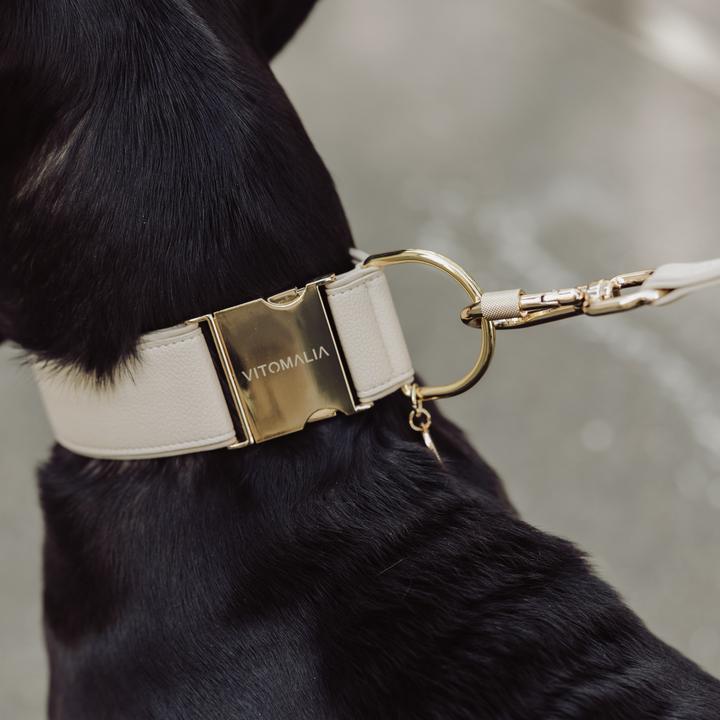 Piñatex Luxus-Hundehalsband - Nachhaltiges Ananas-Leder in Beige - Vitomalia - Hundehalsband