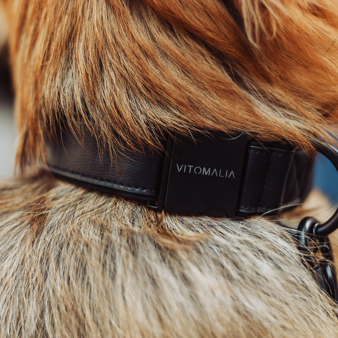 Piñatex Luxus-Hundehalsband - Nachhaltiges Ananas-Leder in Schwarz - Vitomalia - Hundehalsband