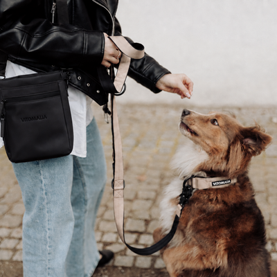 Robustes Hundehalsband mit Sicherheitsverschluss & Magnet-Handgriff – Beige