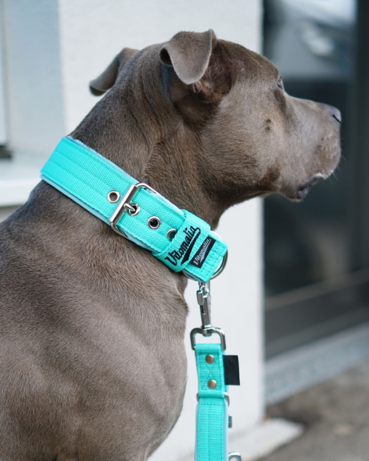 Frühes selbstgenähtes Vitomalia-Halsband mit breiter Innenfütterung.