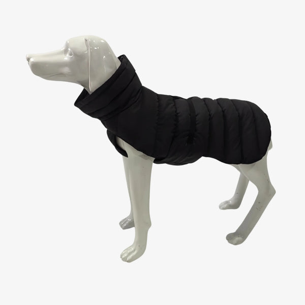 Hundemantel Anthrazit – Winterschutz & Softshell