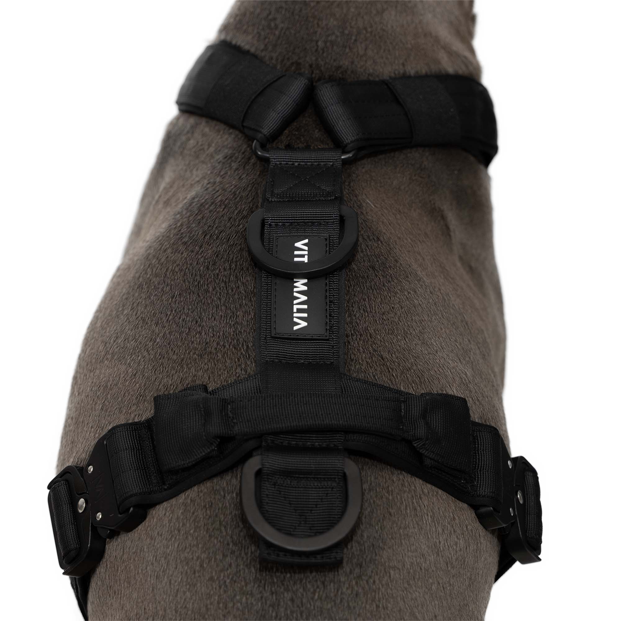 Mliya dog harness sale