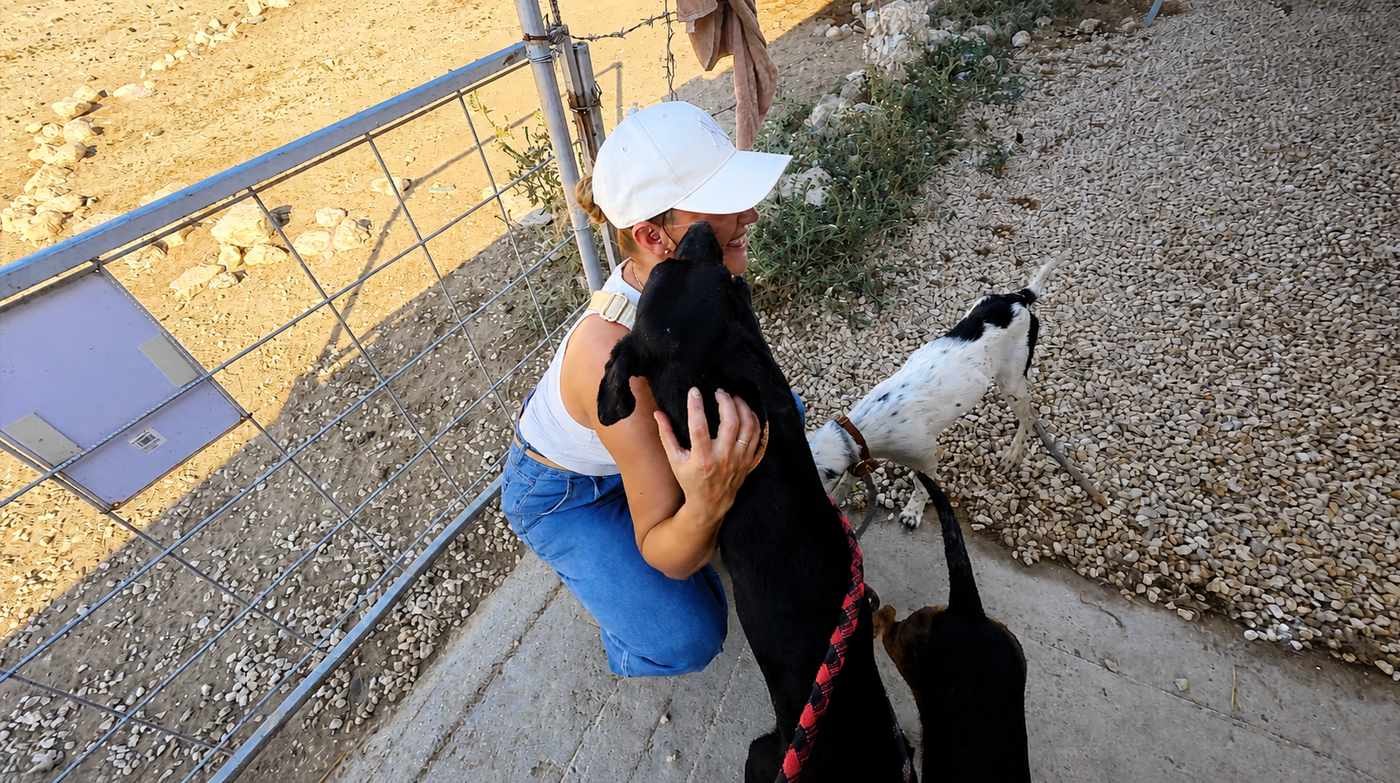 Eine Frau aus der Vitomalia Community begrüßt einen Hund vor Ort in Paphos