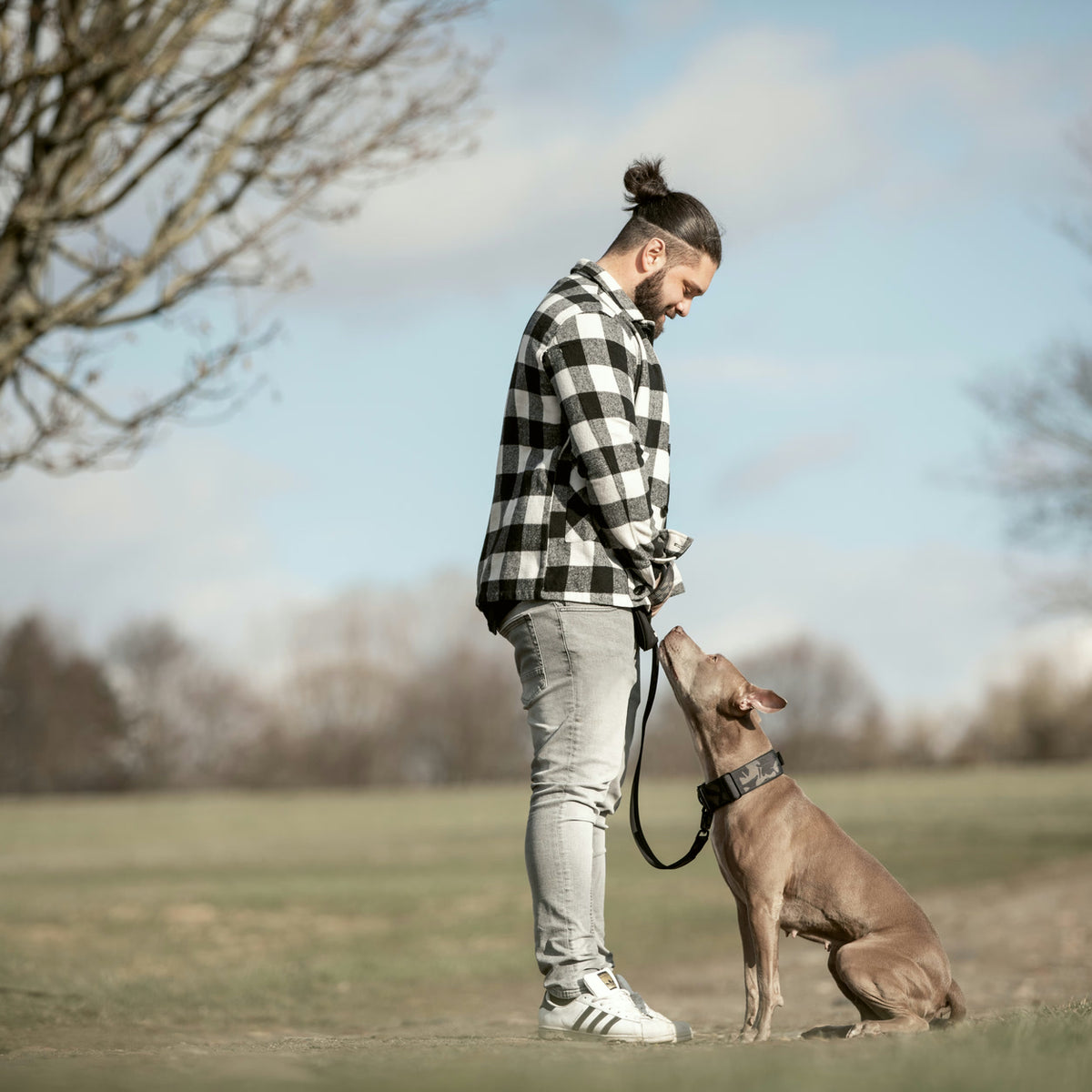 loose leash walking