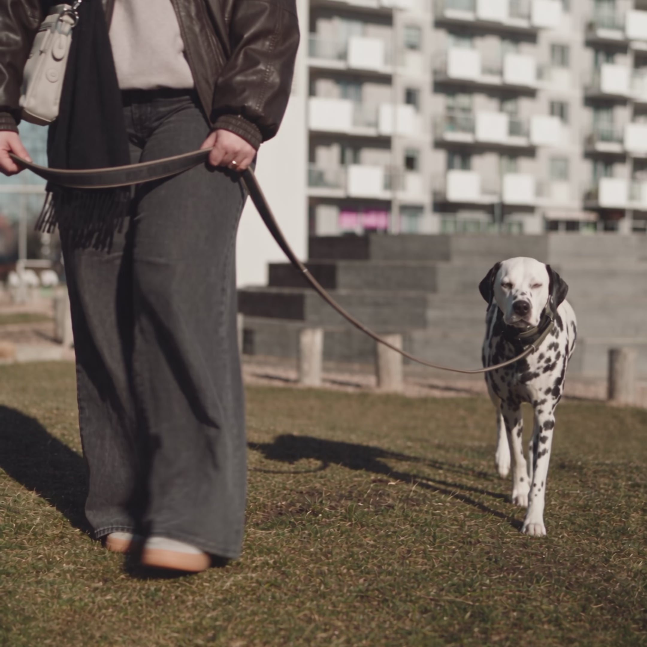 Video laden: Reflektierendes Hundehalsband Khaki