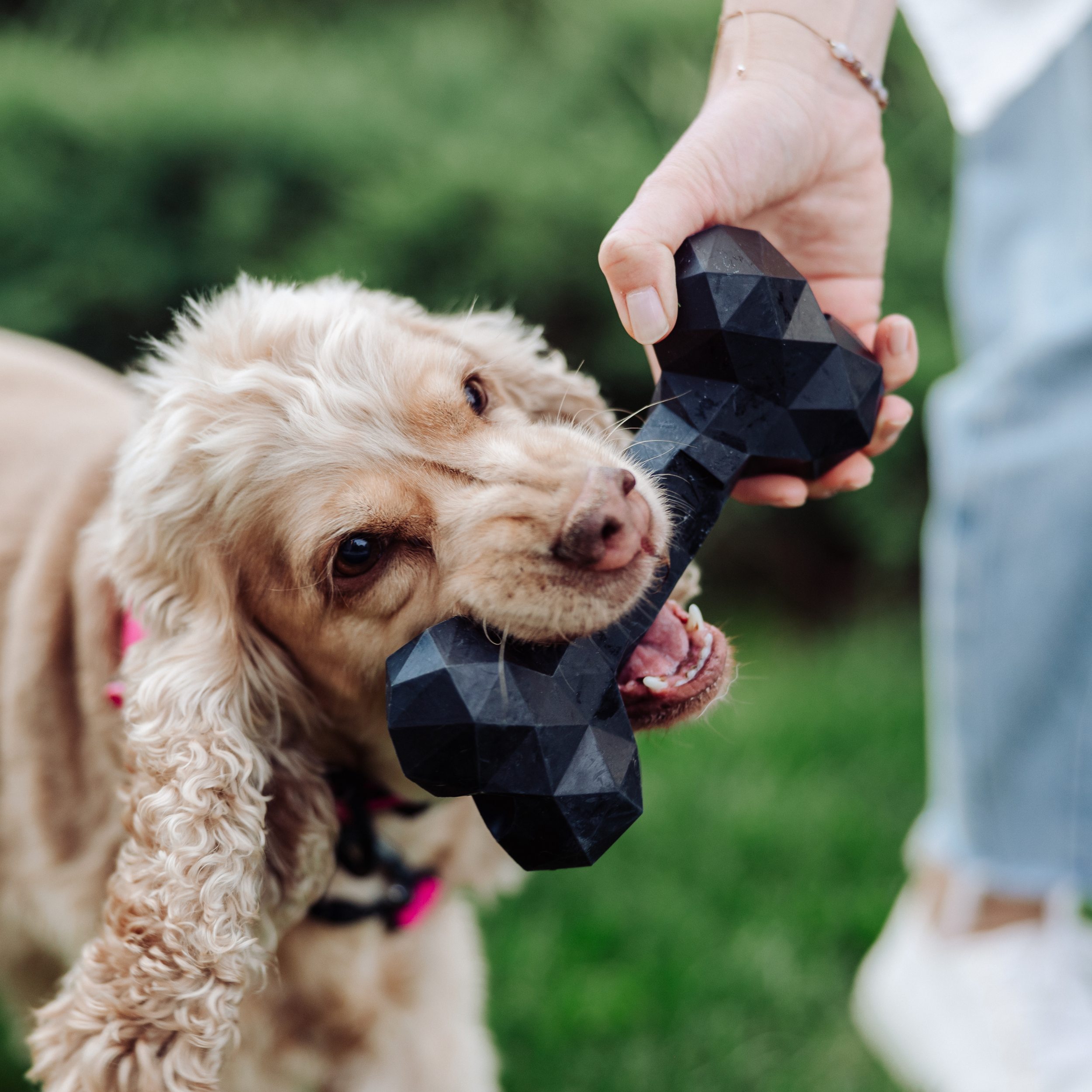 Osso Extreme: gioco da masticare robusto in caucciù naturale per cani, con aroma di manzo, senza BPA né sostanze tossiche