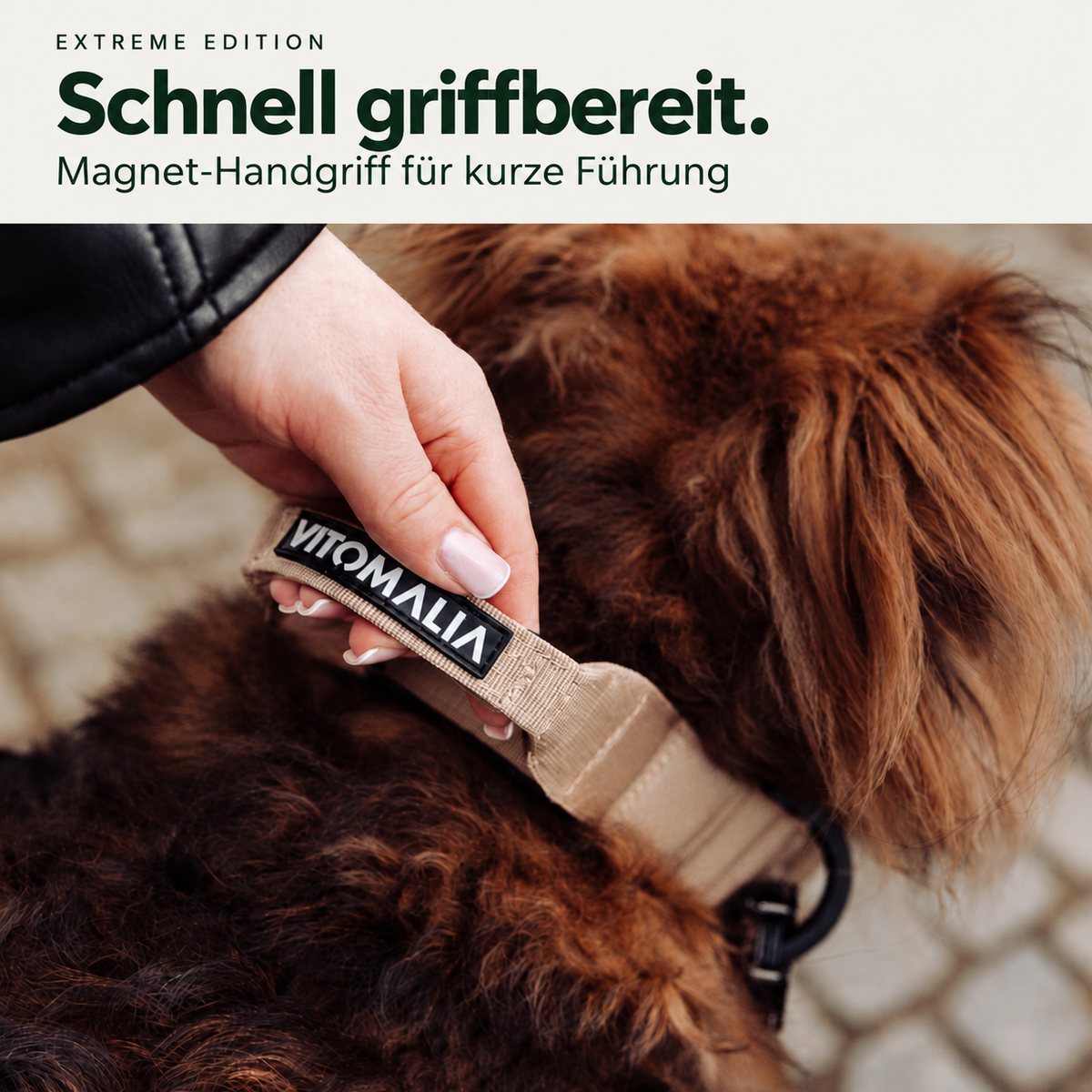 Extreme Edition Beige – Schnell griffbereit. Magnet-Handgriff für kurze Führung