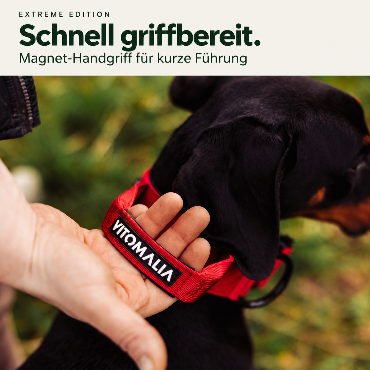 Vitomalia Extreme Edition bordeaux – Magnet-Handgriff für kurze Führung