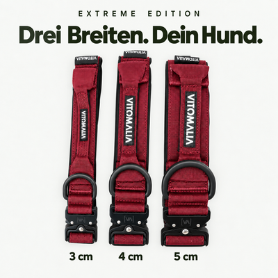 Extreme Edition bordeaux – Drei Breiten. Dein Hund. 3 cm, 4 cm und 5 cm