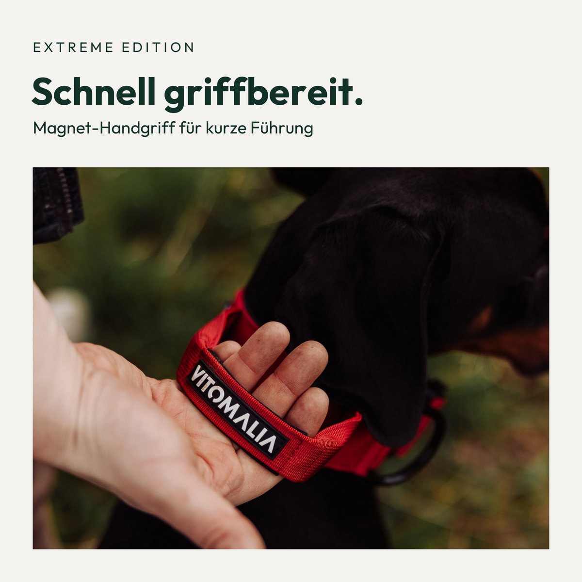 Vitomalia Extreme Edition Bordeaux – Magnet-Handgriff im Einsatz