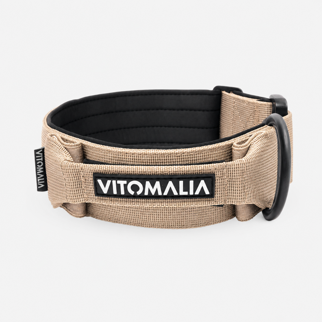 Tactical Dog Collar with load-bearing buckle & magnetic handle - beige