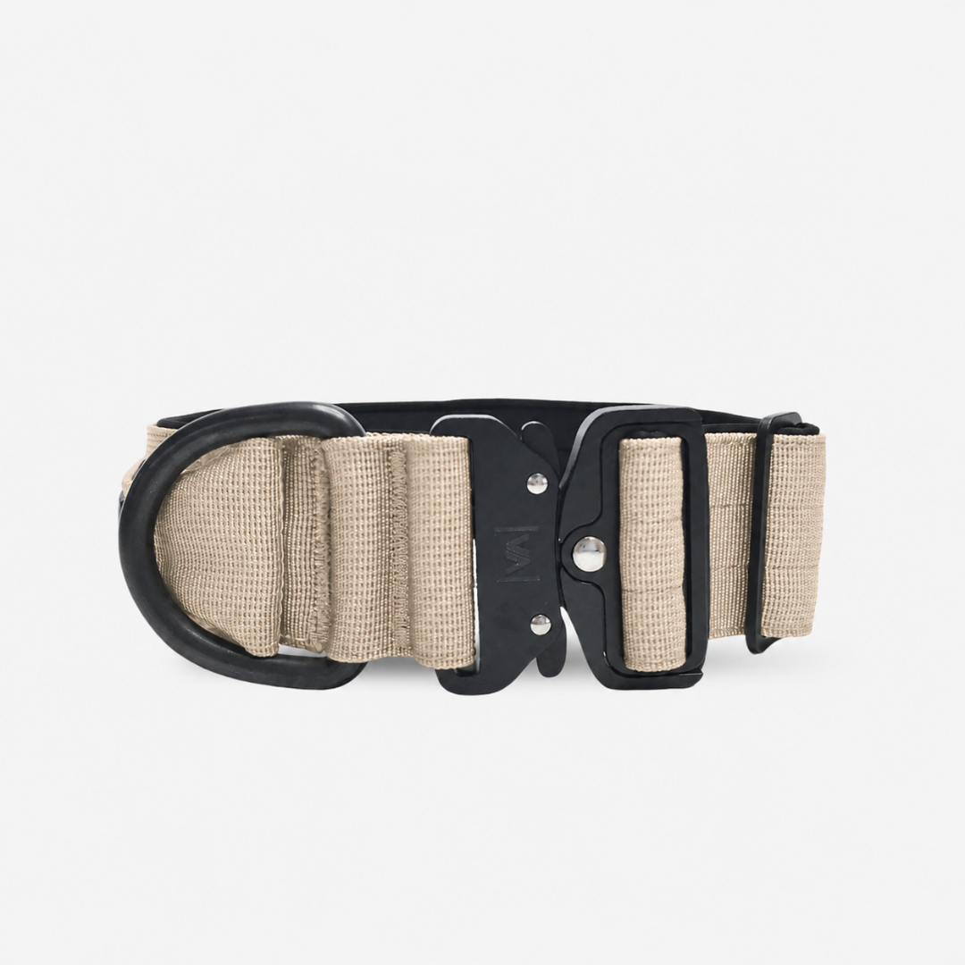 Robustes Hundehalsband mit Sicherheitsverschluss & Magnet-Handgriff – Beige