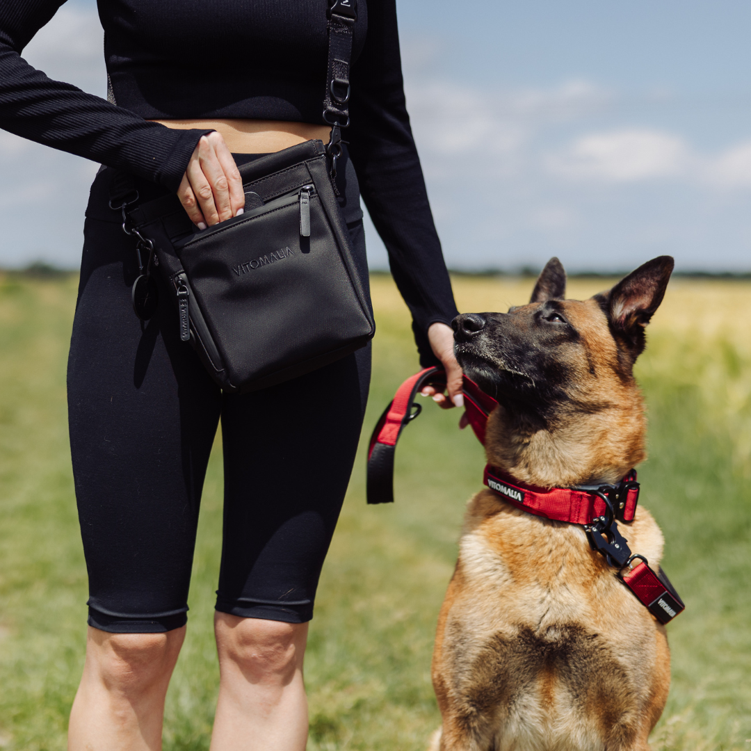 Robustes Hundehalsband mit Sicherheitsverschluss & Magnet-Handgriff – Bordeaux