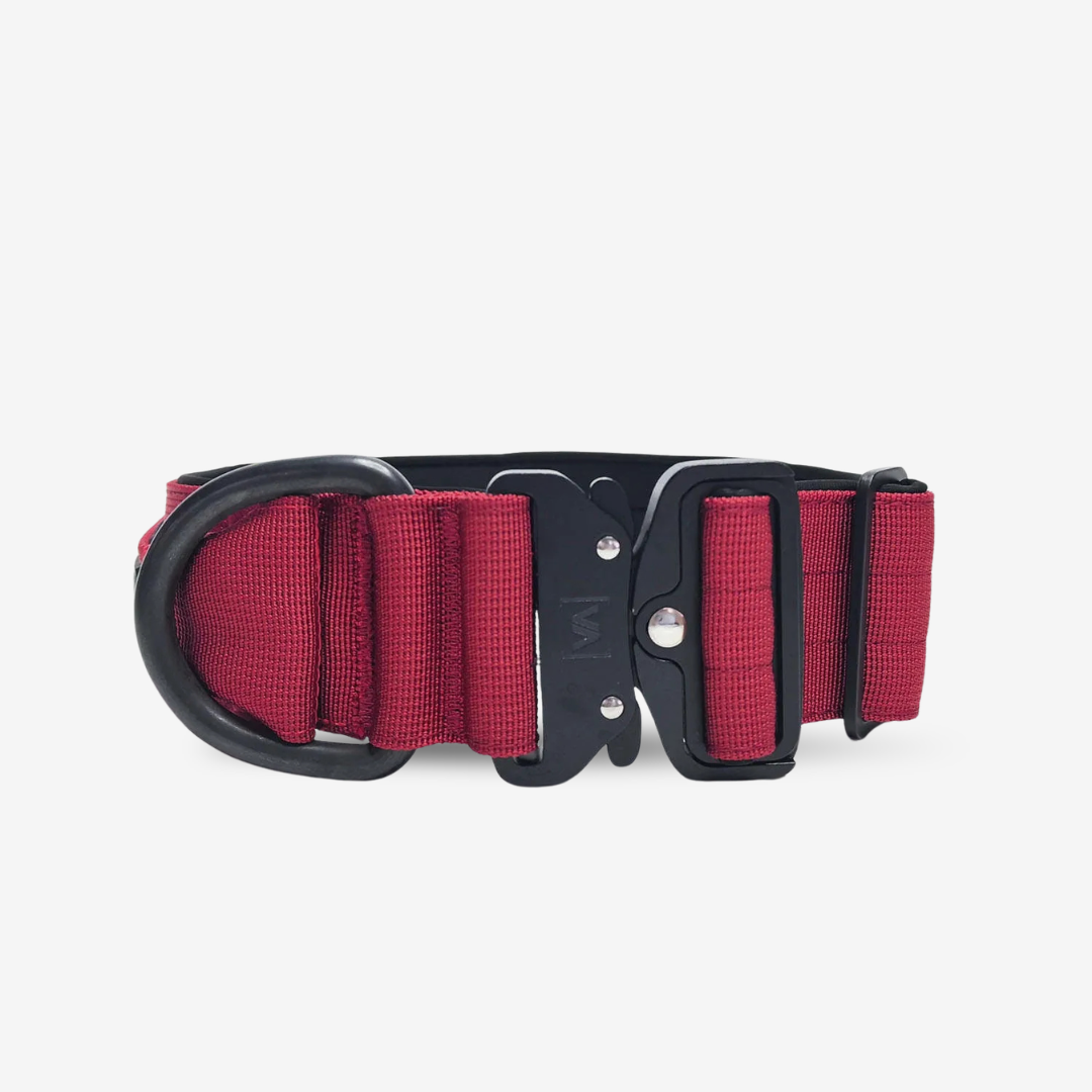 Robustes Hundehalsband mit Sicherheitsverschluss & Magnet-Handgriff – Bordeaux