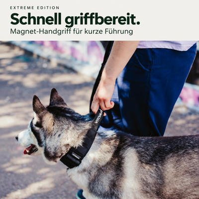 Magnet-Handgriff des schwarzen Extreme-Halsbands im Einsatz