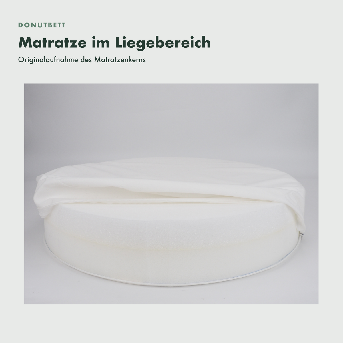 OrthoPawdic Donutbett Originalaufnahme der Matratze im Liegebereich