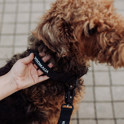 Tactical Dog Collar with load-bearing buckle & magnetic handle - black