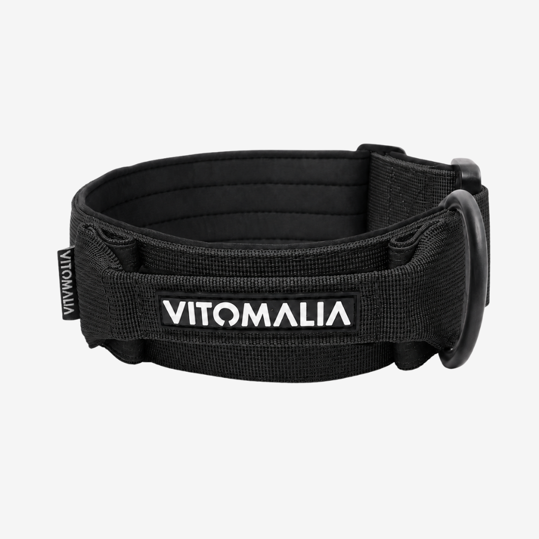 Robustes Hundehalsband mit Sicherheitsverschluss & Magnet-Handgriff – Schwarz