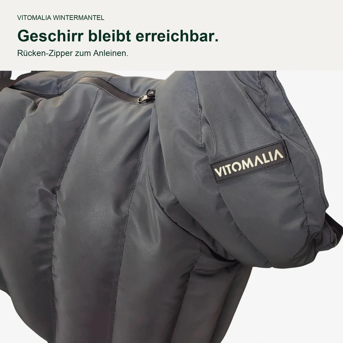 Wintermantel Anthrazit – vollflächiges Detail des Rücken-Zippers