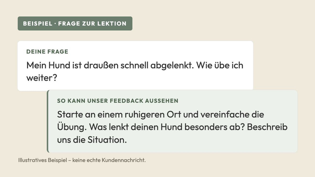Illustratives Beispiel einer Frage und einer möglichen Antwort – keine echte Kundennachricht