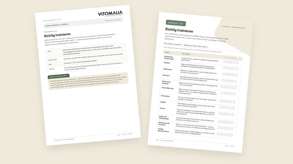 Originaler Trainingsplan und Workbook aus Tag 1