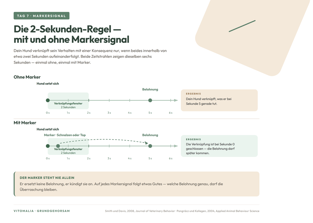 Vitomalia Lerngrafik zum Marker-Timing