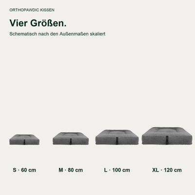 OrthoPawdic kissen teddy grau – vier Größen; originalgetreu freigestellt