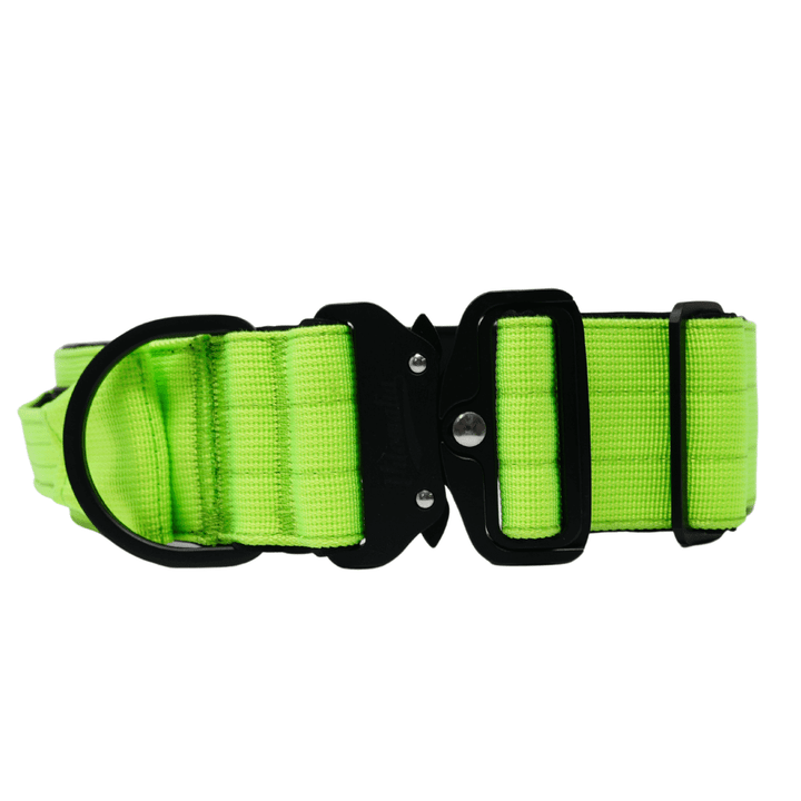 Hundehalsband Extreme Edition Neon Grün 2.0 - LIMITED - Vitomalia - Hundehalsband