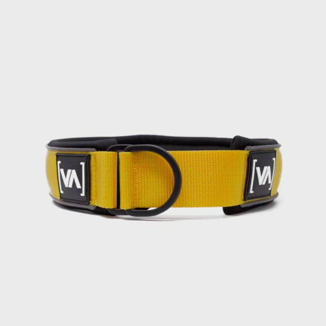 Reflektierendes gelbes Zugstopp-Hundehalsband - Mit Anti-Würg-Funktion
