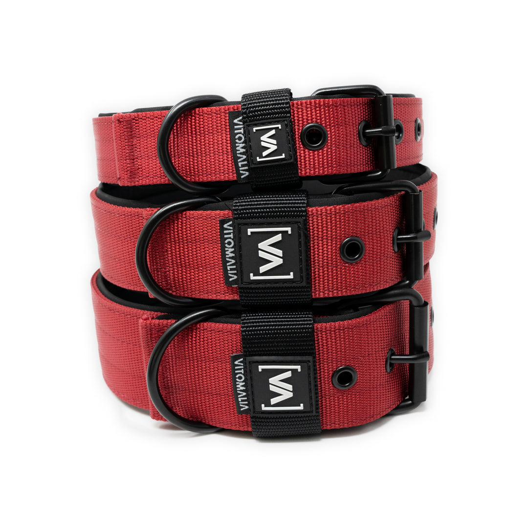 Hundehalsband Classic Nero Edition - Bordeaux - Vitomalia - Hundehalsband