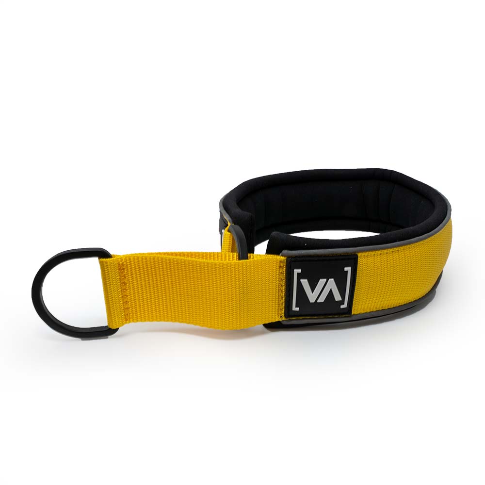 Hundehalsband Easy Go Edition Gelb - Vitomalia - Hundehalsband
